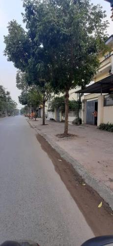 BÁN ĐẤT : NGUYỆT ÁNG - ĐẠI ÁNG - THANH TRÌ . 46m2 - 1