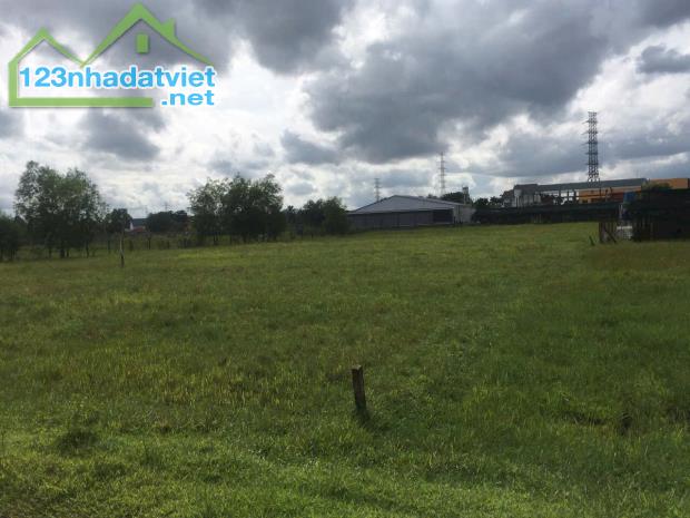 4736m2 đất mặt tiền Nguyễn Thị Nhia, xã Phước Hiệp giá 22 tỷ