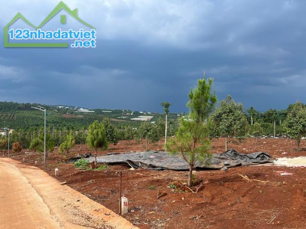 Cần Bán Đất Gần Chợ Tân Hà Lâm Hà Diện tích 302m² Giá 495 Triệu Thổ cư 177m² - 3