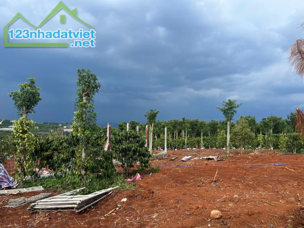 Cần Bán Đất Gần Chợ Tân Hà Lâm Hà Diện tích 302m² Giá 495 Triệu Thổ cư 177m² - 2