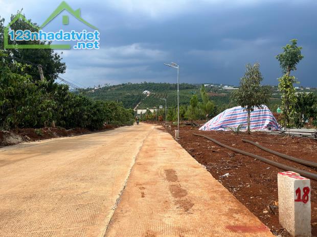 Cần Bán Đất Gần Chợ Tân Hà Lâm Hà Diện tích 302m² Giá 495 Triệu Thổ cư 177m² - 1