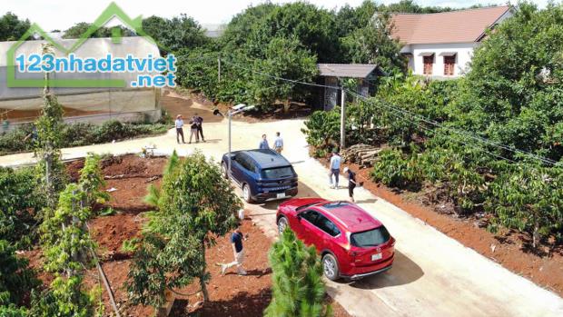 Bán Đất Tân Hà Lâm Hà giá rẻ 495 triệu có 177m² thổ cư 7m mặt tiền sổ hồng riêng cách chợ