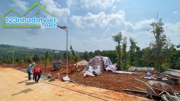 Bán Đất Tân Hà Lâm Hà giá rẻ 495 triệu có 177m² thổ cư 7m mặt tiền sổ hồng riêng cách chợ - 2