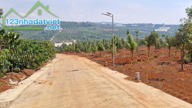 Bán Đất Tân Hà Lâm Hà giá rẻ 495 triệu có 177m² thổ cư 7m mặt tiền sổ hồng riêng cách chợ - 3