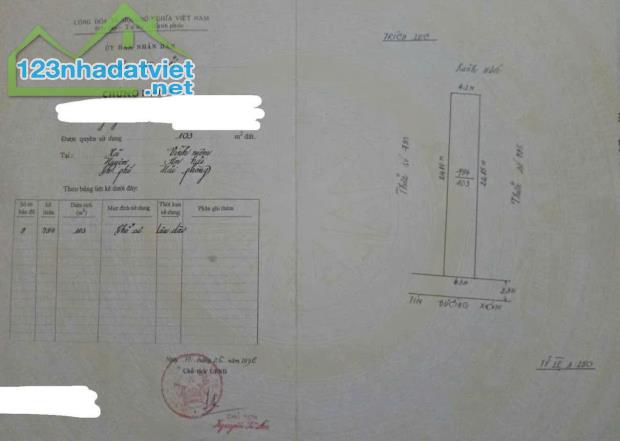 Đất tuyến 2 sát  ngã 3 Thiên Lôi - Trực Cát, đường nhựa 5m, Giá 55 tr/m - 3
