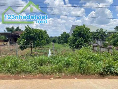 214m2 có 100m2 đất ở tại Dầu Tiếng Bình Dương giá 295 triệu