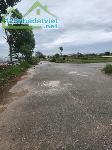 BÁN ĐẤT LK KĐT CIENCO5 mê linh - 2