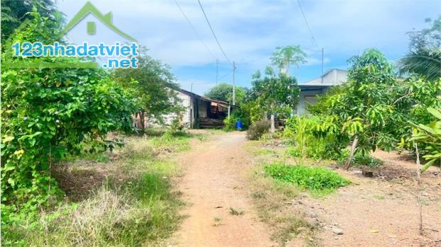 bán đất tặng nhà cấp 4, thổ cư toàn bộ, đất 2MT đầu đuôi. phân được nhiều lô.
