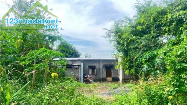 bán đất tặng nhà cấp 4, thổ cư toàn bộ, đất 2MT đầu đuôi. phân được nhiều lô. - 1