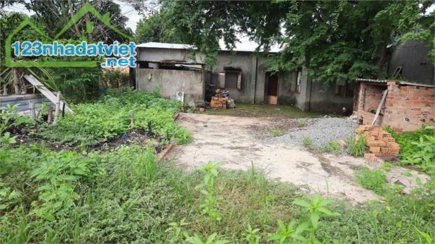 bán đất tặng nhà cấp 4, thổ cư toàn bộ, đất 2MT đầu đuôi. phân được nhiều lô. - 2