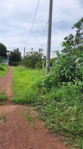 bán đất tặng nhà cấp 4, thổ cư toàn bộ, đất 2MT đầu đuôi. phân được nhiều lô. - 3