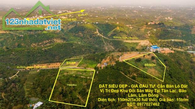 ĐẤT SIÊU ĐẸP - GIÁ ĐẦU TƯ  Cần Bán Lô Đất Vị Trí Đẹp Khu Đồi Săn Mây Tại Tân Lạc, Bảo