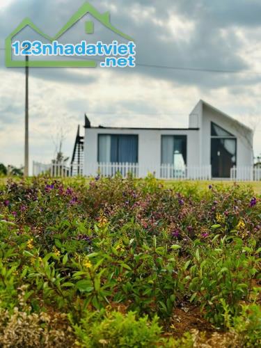 ĐẤT SIÊU ĐẸP - GIÁ ĐẦU TƯ  Cần Bán Lô Đất Vị Trí Đẹp Khu Đồi Săn Mây Tại Tân Lạc, Bảo - 2