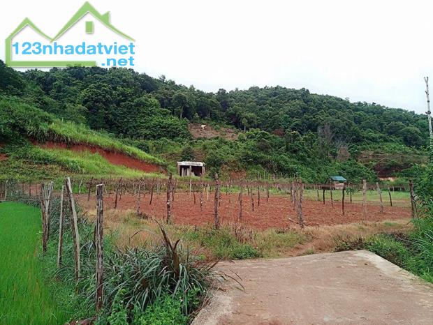 Bán 5.445m² Đất Mộc Châu, Mặt Tiền 200m, Gần Thác Dải Yếm, view đẹp giá tốt