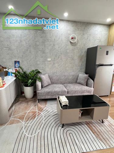 Cho thuê căn hộ 536 Minh Khai 60m2, 2 ngủ, 2 WC, Full đồ, 11 triệu Full đồ - 3