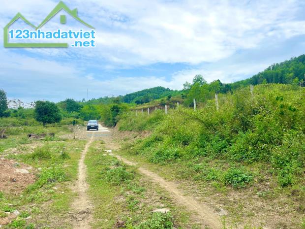 Bán đất 5.600m2 tổ 5 thị trấn Khánh Vĩnh - 4