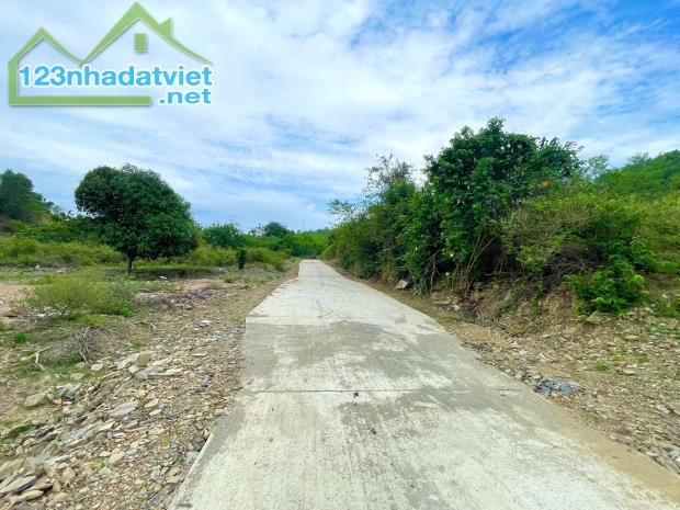 Bán đất 5.600m2 tổ 5 thị trấn Khánh Vĩnh - 2