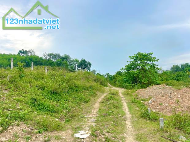 Bán đất 5.600m2 tổ 5 thị trấn Khánh Vĩnh - 1