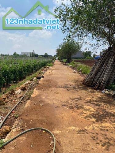 BÁN 380,4m2 TỔ 34 ĐƯỜNG LÊ HỒNG PHONG NỐI DÀI - THỊ TRẤN LIÊN NGHĨA -ĐỨC TRỌNG -LÂM ĐỒNG - 1