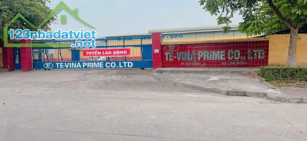 Bán đất băng 1 TDC Thụy Vân, 2,8 tỷ, 208 m2, MT 8m, KINH DOANH - 3