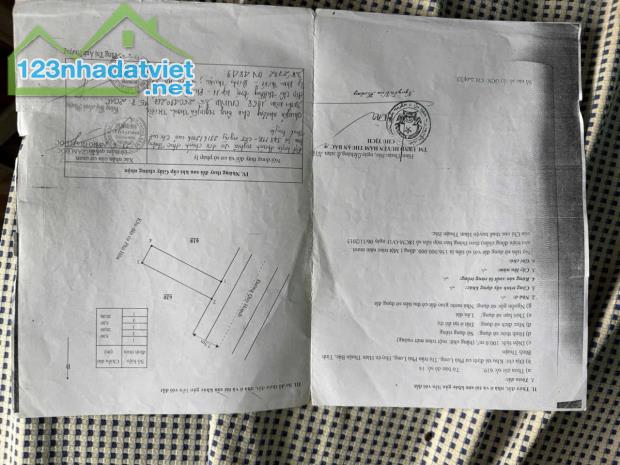 Chính chủ gửi bán nhà yến đang thu hoạch ổn định.