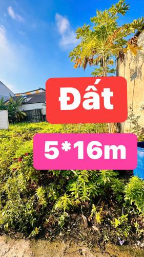 🏆Bán Đất Cách Chợ Đường 100m 5 x 16 Full thổ cư- đường ô tô- giá 2,95 tỷ còn bớt✅
🌻Diện - 1
