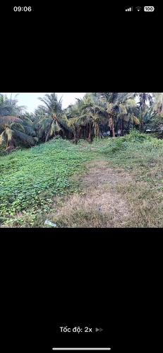 Bán đất khu vực xã Đại Phước, huyện Càng Long, Trà Vinh - 1