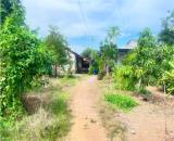 bán đất tặng nhà cấp 4, khí hậu trong lành, gần đập thủy điện trị an. đất đẹp