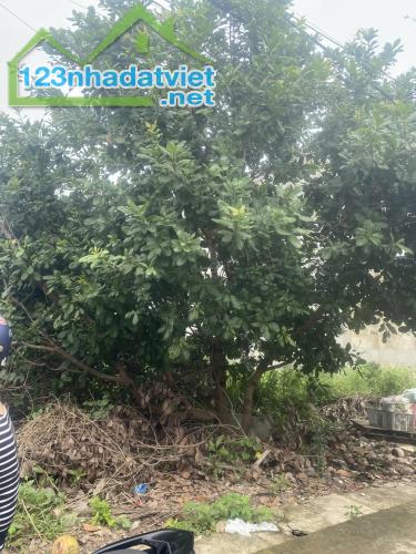 CC cần bán gấp đất biệt thự ở khu sân bay Quốc Tế Long Thành - Đồng Nai - 2