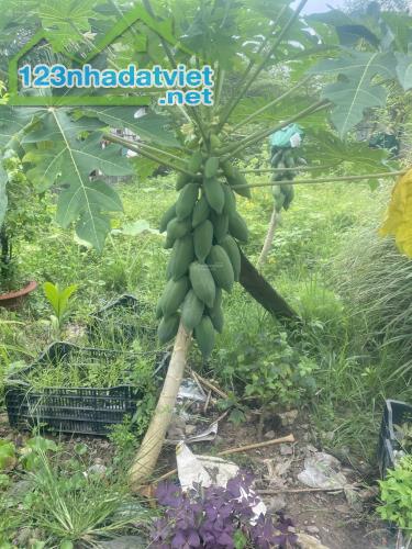 CC cần bán gấp đất biệt thự ở khu sân bay Quốc Tế Long Thành - Đồng Nai - 3