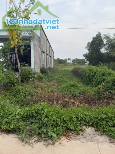 BÁN LÔ ĐẤT MT BÊ TÔNG HOÀ KHÁNH ĐÔNG DT 5X26 GIÁ 890TR, SHR CC NGAY - 2