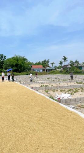 Lô đất cạnh KCN Tứ Hạ - 2 Ô Tô Tránh Nhau – giá F0 chỉ từ 4xx triệu/lô! - 3
