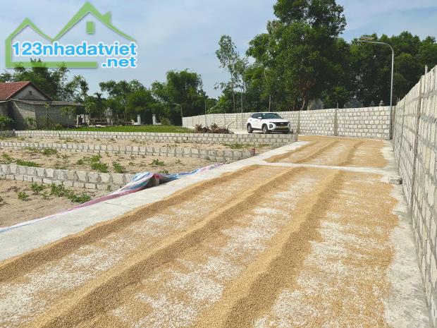 Lô đất cạnh KCN Tứ Hạ - 2 Ô Tô Tránh Nhau – giá F0 chỉ từ 4xx triệu/lô! - 2