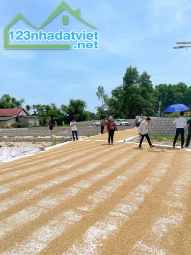 Lô đất cạnh KCN Tứ Hạ - 2 Ô Tô Tránh Nhau – giá F0 chỉ từ 4xx triệu/lô! - 1