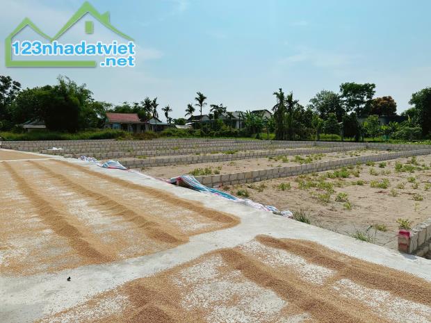 Lô đất cạnh KCN Tứ Hạ - 2 Ô Tô Tránh Nhau – giá F0 chỉ từ 4xx triệu/lô!