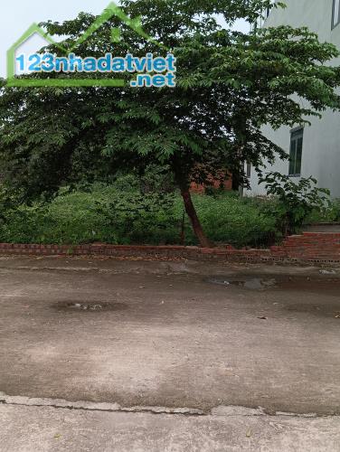 Bán Đất -Xã Hiền Ninh ( Sóc Sơn)- 89 M2 Bìa Làng - 3,1 Tỷ - 2