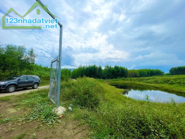 Bán đất 4,3ha làm fram tại Xã Khánh Hiệp, Khánh Vĩnh - 5