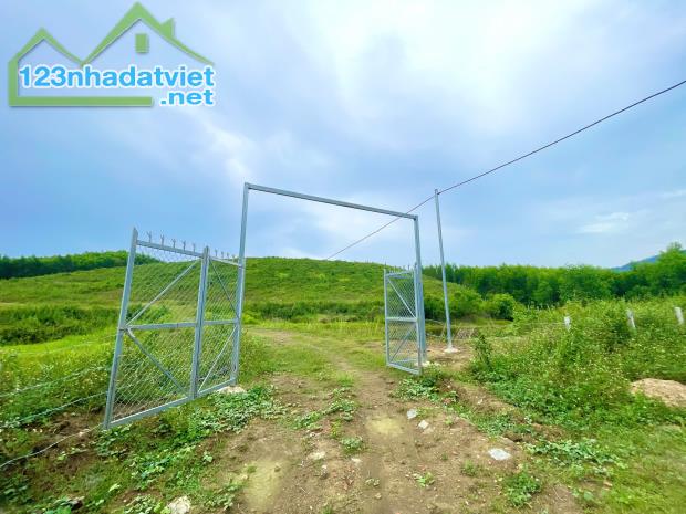 Bán đất 4,3ha làm fram tại Xã Khánh Hiệp, Khánh Vĩnh - 4