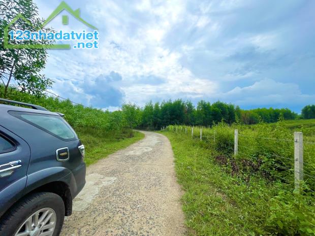 Bán đất 4,3ha làm fram tại Xã Khánh Hiệp, Khánh Vĩnh - 3
