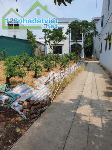 Bán đất Vân Tảo Thường Tín 60m², ô tô vào đất, ngay sát trục chính, giá chỉ 2,x tỷ