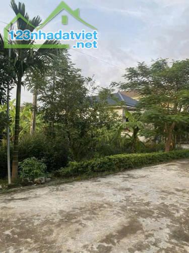 ĐẤT ĐẸP – GIÁ  TỐT - CẦN BÁN NHANH LÔ ĐẤT Mặt Tiền TẠI Xóm 5 Xã Quỳnh Ngọc, Huyện Quỳnh - 1