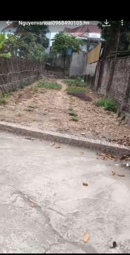 ĐẤT ĐẸP - GIÁ TỐT - Vị Trí Đắc Địa Tại Thôn Thanh Trí, Xã Minh Phú, Huyện Sóc Sơn, TPHN - 3