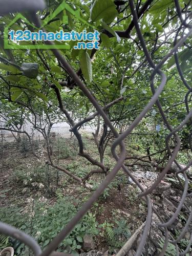 MẢNH ĐẤT, ÂU CƠ, TÂY HỒ: 164M , MT 18M, GIÁ 22 TỶ. - 1