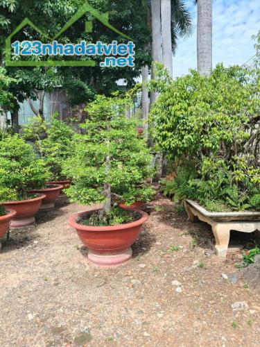 Bán đất đường Võ Thị Hồi 4000m2 chỉ 66 tỷ xã Xuân Thới Đông huyện Hóc Môn
