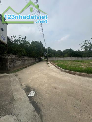 BÁN ĐẤT CHƯƠNG DƯƠNG – THƯỜNG TÍN – 81M² – ĐƯỜNG 6M THÔNG – GIÁ CHỈ 36,5 TRIỆU/M² - 1