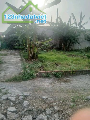 Đất Hưng Yên 79m2 giá 850 triệu lô góc ô tô vào cách khu du lịch khoáng nóng 500 mét. - 2