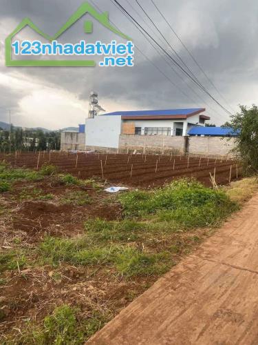 BÁN 483,5m2 ĐẤT XÃ LIÊN HIỆP - ĐỨC TRỌNG - LÂM ĐỒNG . - 1