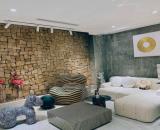 Nhà cực phẩm Gò Vấp- 6 tầng Thang máy- Síu bờ vip