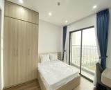 Cho thuê căn hộ 2 ngủ chung cư cao cấp Minato
