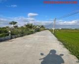 BÁN ĐẤT Thôn 3 Hàm Liêm Sau KCN Phan Thiết.Thích hợp làm nhà vườn quán nhậu....